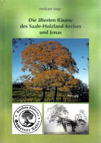 Die ältesten Bäume des Saale-Holzland-Kreises und Jenas