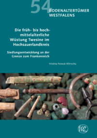 Bodenaltertümer Westfalens Band 54: Die früh- bis hochmittelalterliche Wüstung Twesine im Hochsauerlandkreis – Siedlungsentwicklung an der Grenze zum Frankenreich